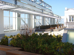 ファイル:CHIBA CENTRAL TOWER屋上.jpg