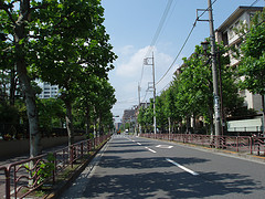 ファイル:Brillia辰巳 CANAL TERRACE 駅前パルシステム(生協)前から北方向.jpg