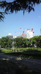 ファイル:グランドメゾン京町堀タワー 建設中 公園より 2008年9月9日撮影.jpg
