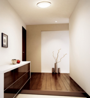 内玄関 センサーライト