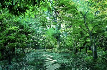 パークコート千代田四番町 「シーズンズフォレスト」完成予想CG