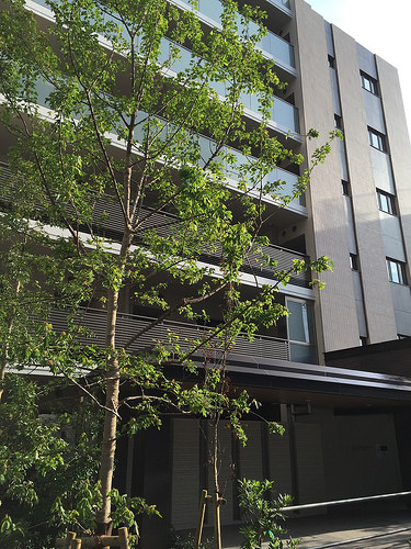 ファイル:20160703パークホームズ板橋蓮根 一番街・二番街.jpg