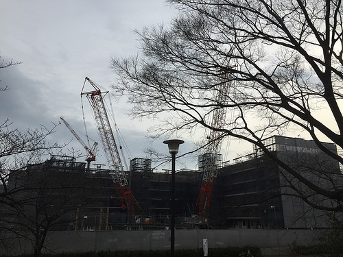 ファイル:20160306パークホームズ板橋蓮根 一番街・二番街駅.jpg