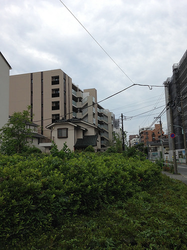 ファイル:20160619パークホームズ板橋蓮根 一番街・二番街2.jpg